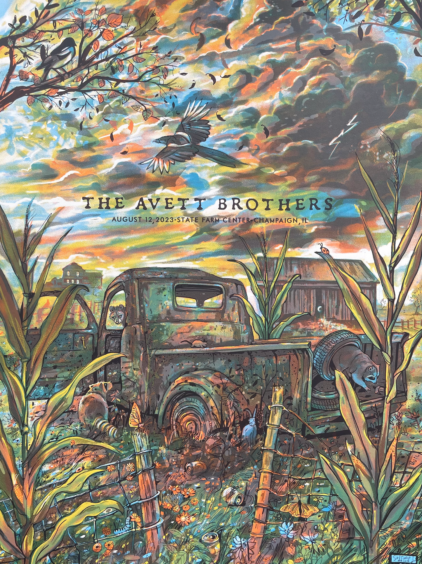 Avett Brothers - IL