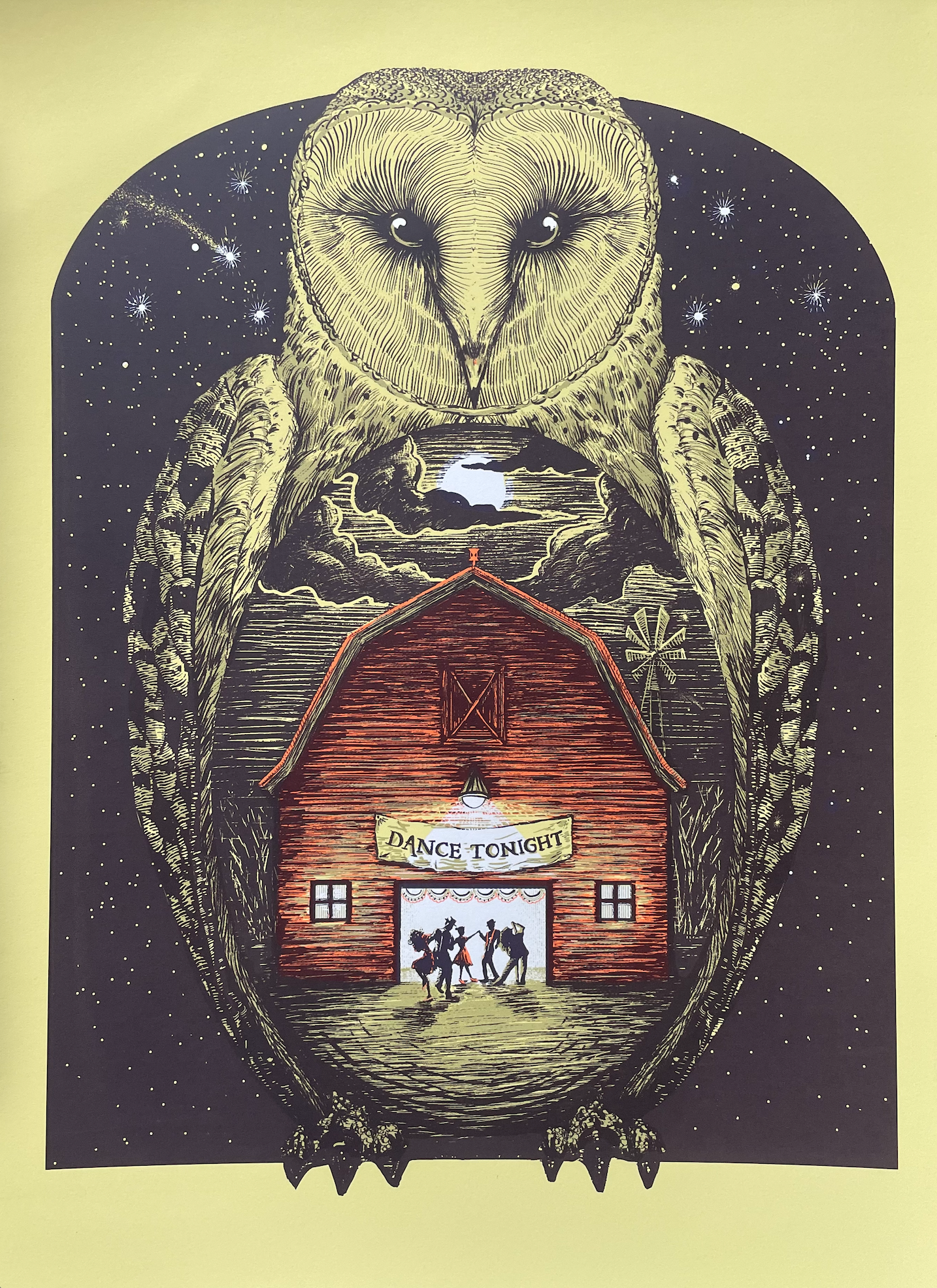 Barn Owl