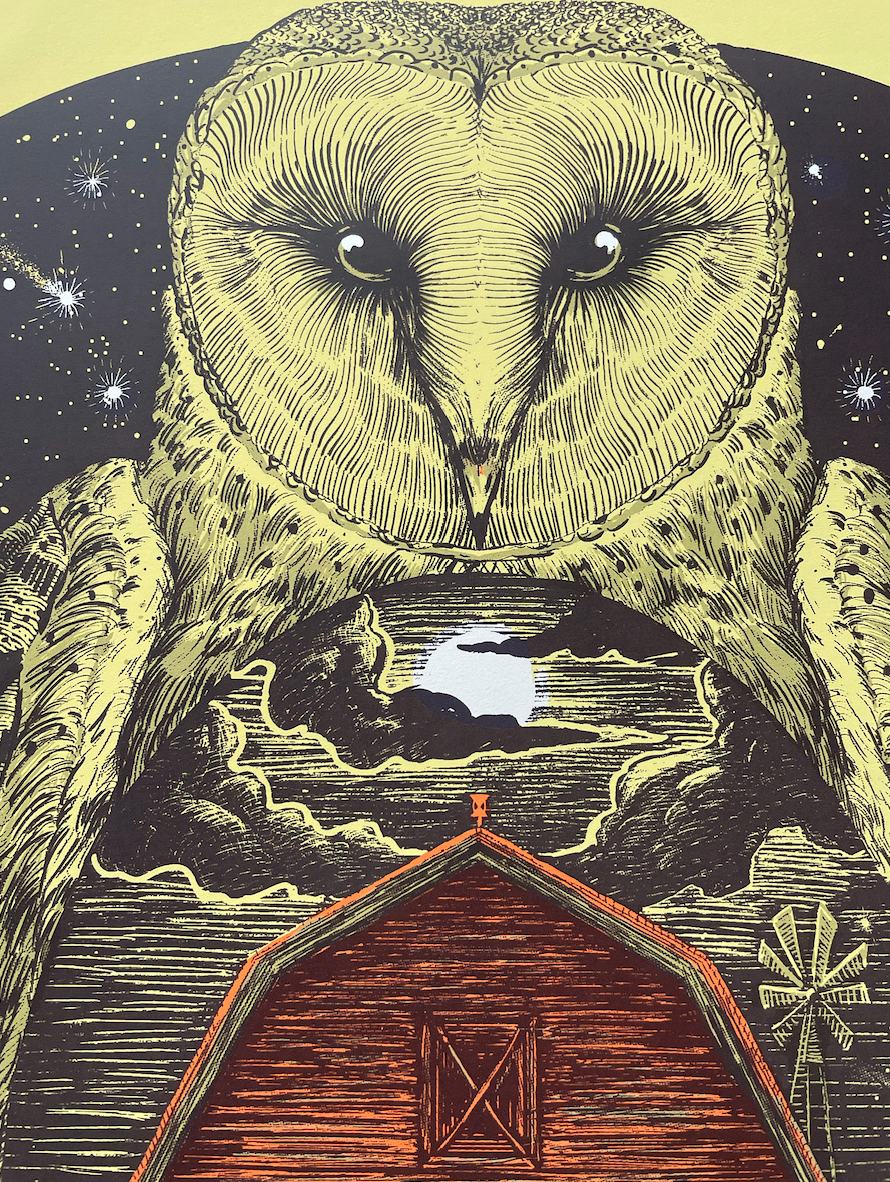 Barn Owl