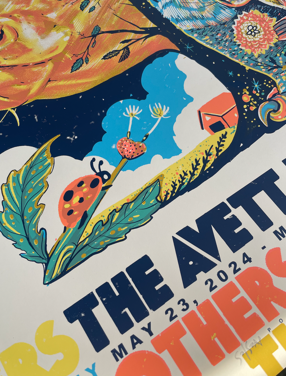 Avett Brothers NY / AP