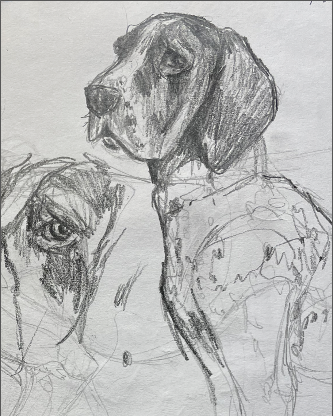 DOGS - Original Drawing