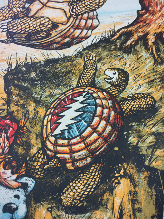 Dead & Company - Ohio