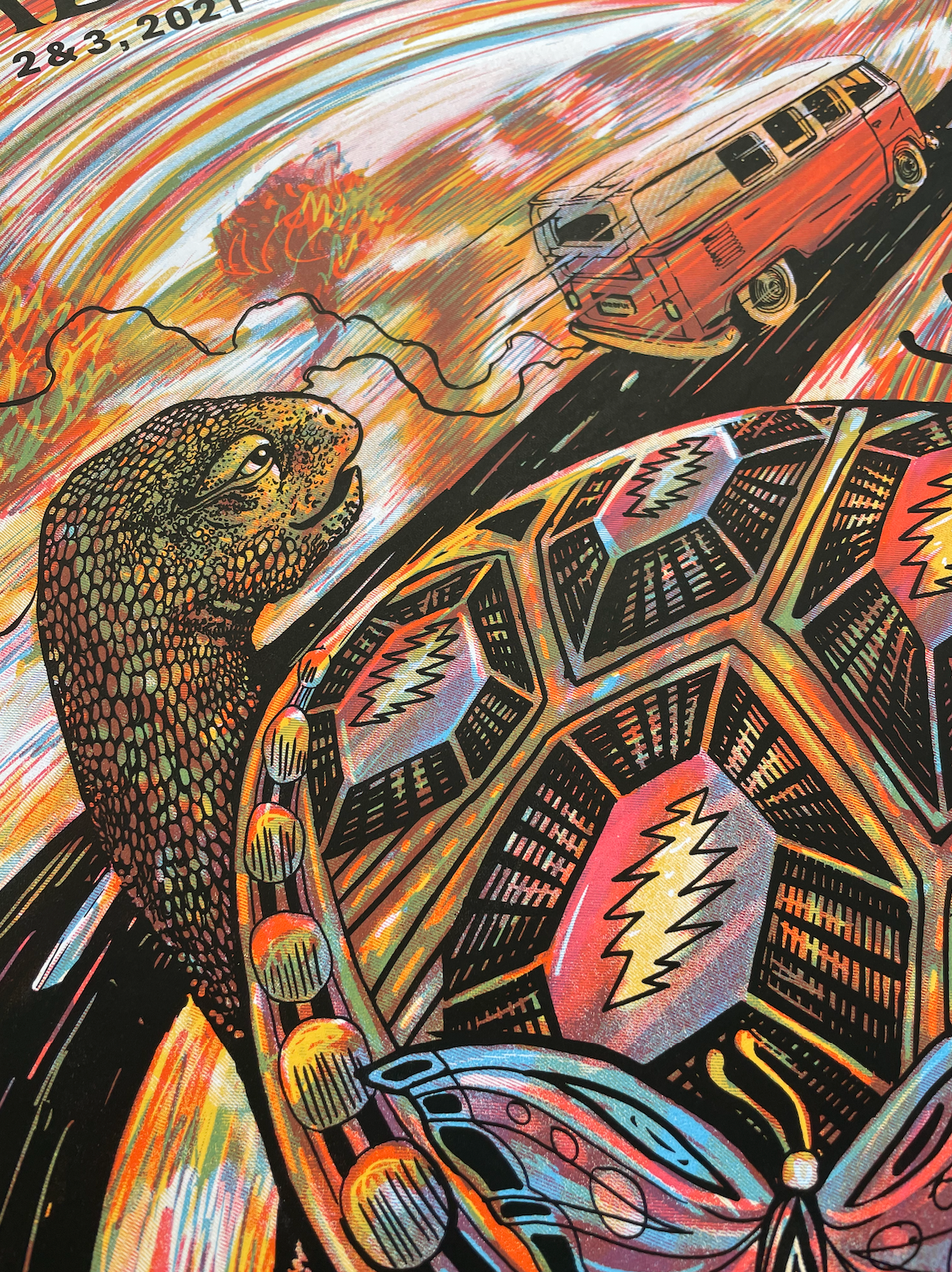 Dead & Company / MA / AP