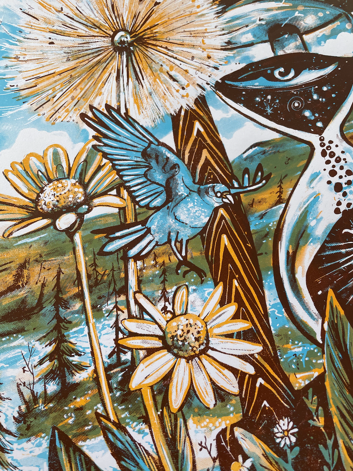 Dave Matthews Band - Colorado AP