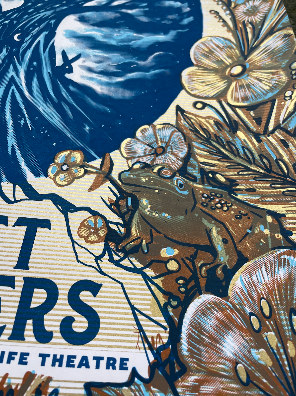 Avett Brothers / WI