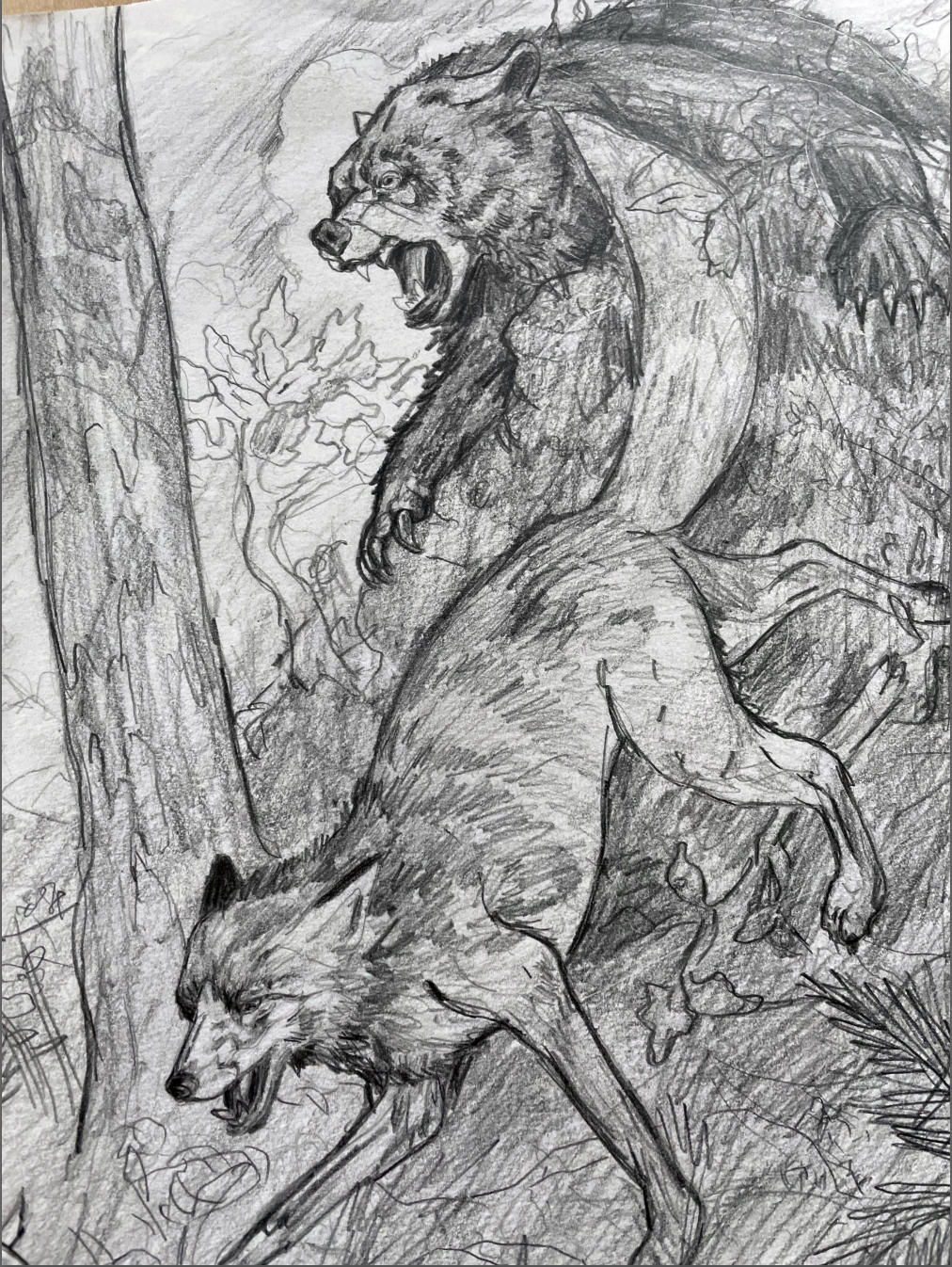 The Chase - Pencils