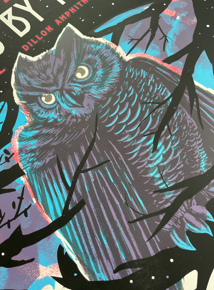 Trampled by Turtles / AP