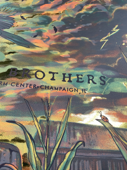 Avett Brothers - IL FOIL