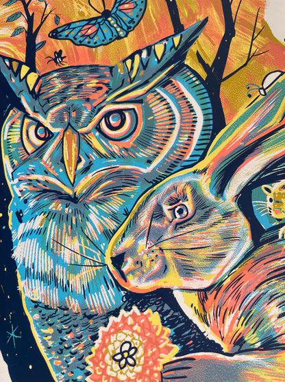 Avett Brothers NY / AP