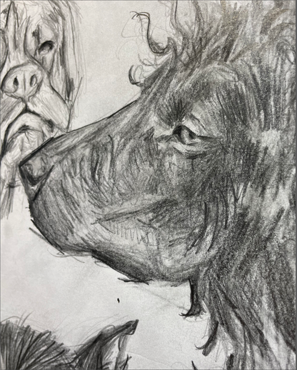 DOGS -  Original Drawing