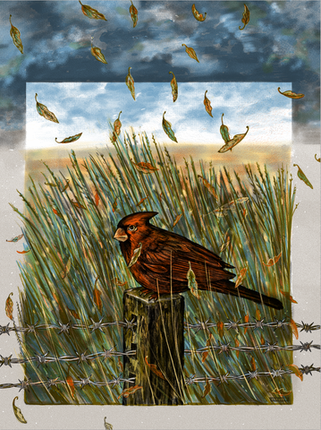 In the Weeds