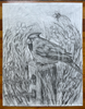 Avett Brothers - Original Pencil Drawing