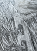 Avett Brothers - Original Pencil Drawing