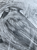 Avett Brothers - Original Pencil Drawing