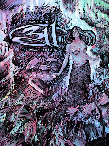 311 Foil - Norfolk VA - AP