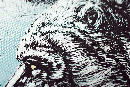 Avett Brothers - Morgantown