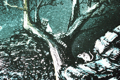 Avett Brothers - Morgantown