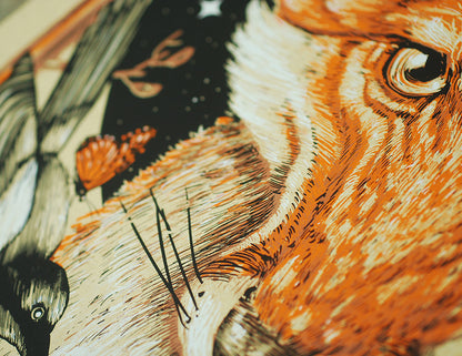 Avett Brothers - Variant