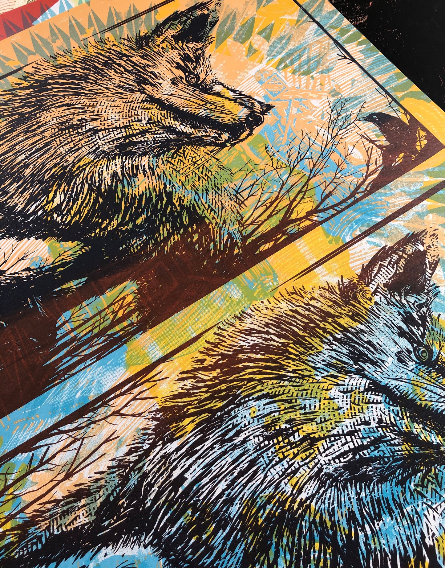 Test Print / 015
