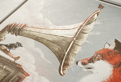 Avett Brothers - Michigan 2014 - AP