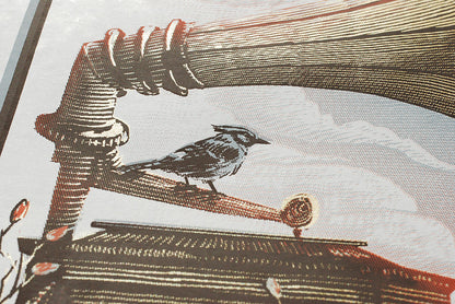 Avett Brothers - Michigan 2014 - AP