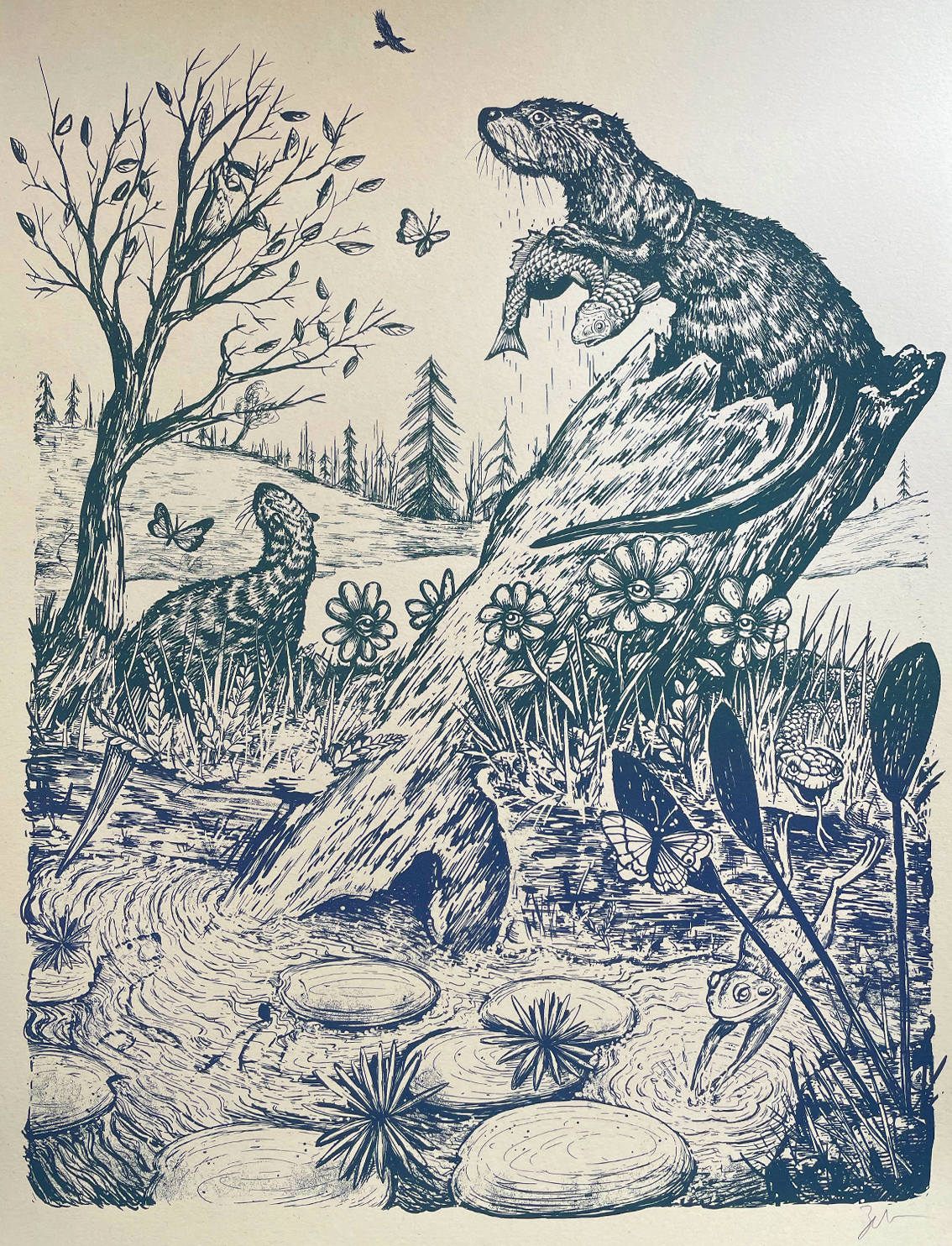 Wild & Wonderful