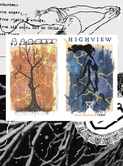 HIGHVIEW Zine- Issues 1-3