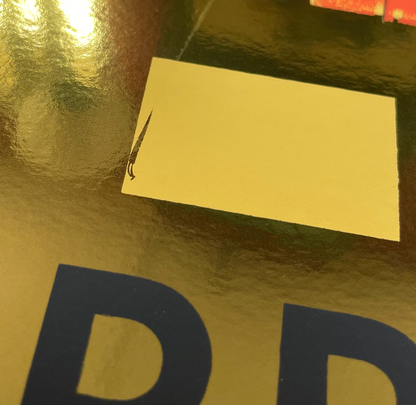 INTERPOL SPOON / FOIL