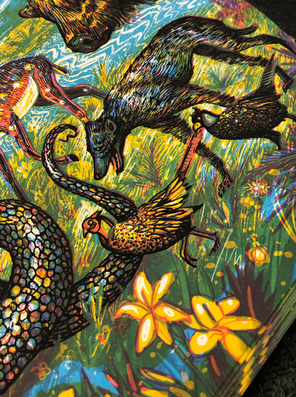 Umphrey's McGee - AP