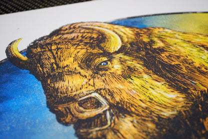 Avett Brothers KC - Regular