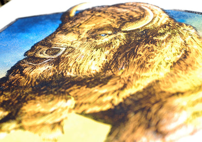 Avett Brothers KC - Regular