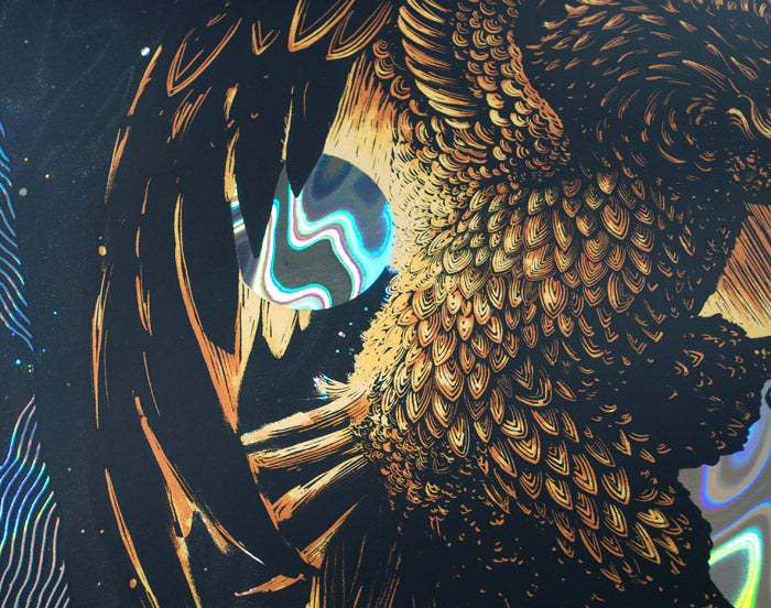 Foo Fighters / Lava Foil