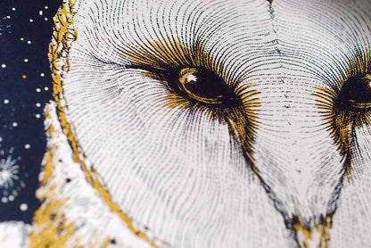 Avett Brothers - New Year's Eve - VIP - 2014