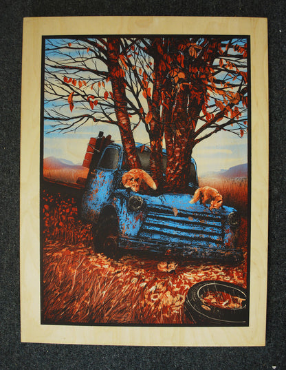 Save Those That the Oak is Keeping - WOOD