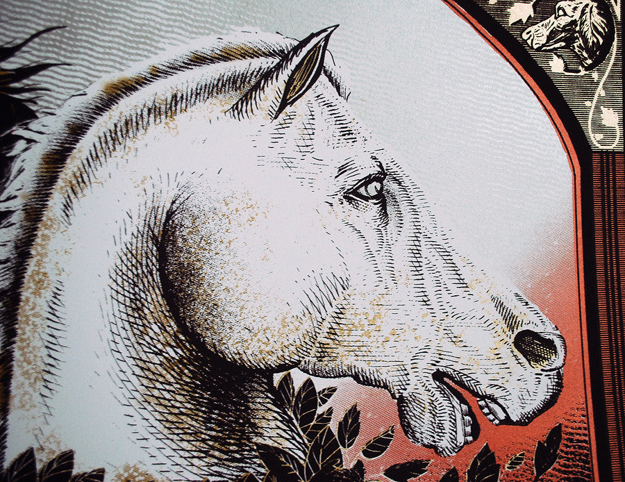 Messengers Variant - 2013